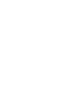 Lokalt Nätverk